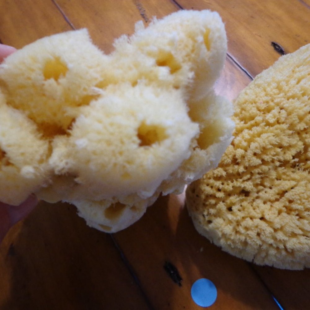 Lot of 2 New! Authentic Natural Select Sponges - Picture 3 of 8